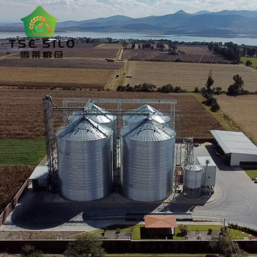 Factory Direct TCK 8000T Steel Flat Bottom Soybean Silos with Ventilation