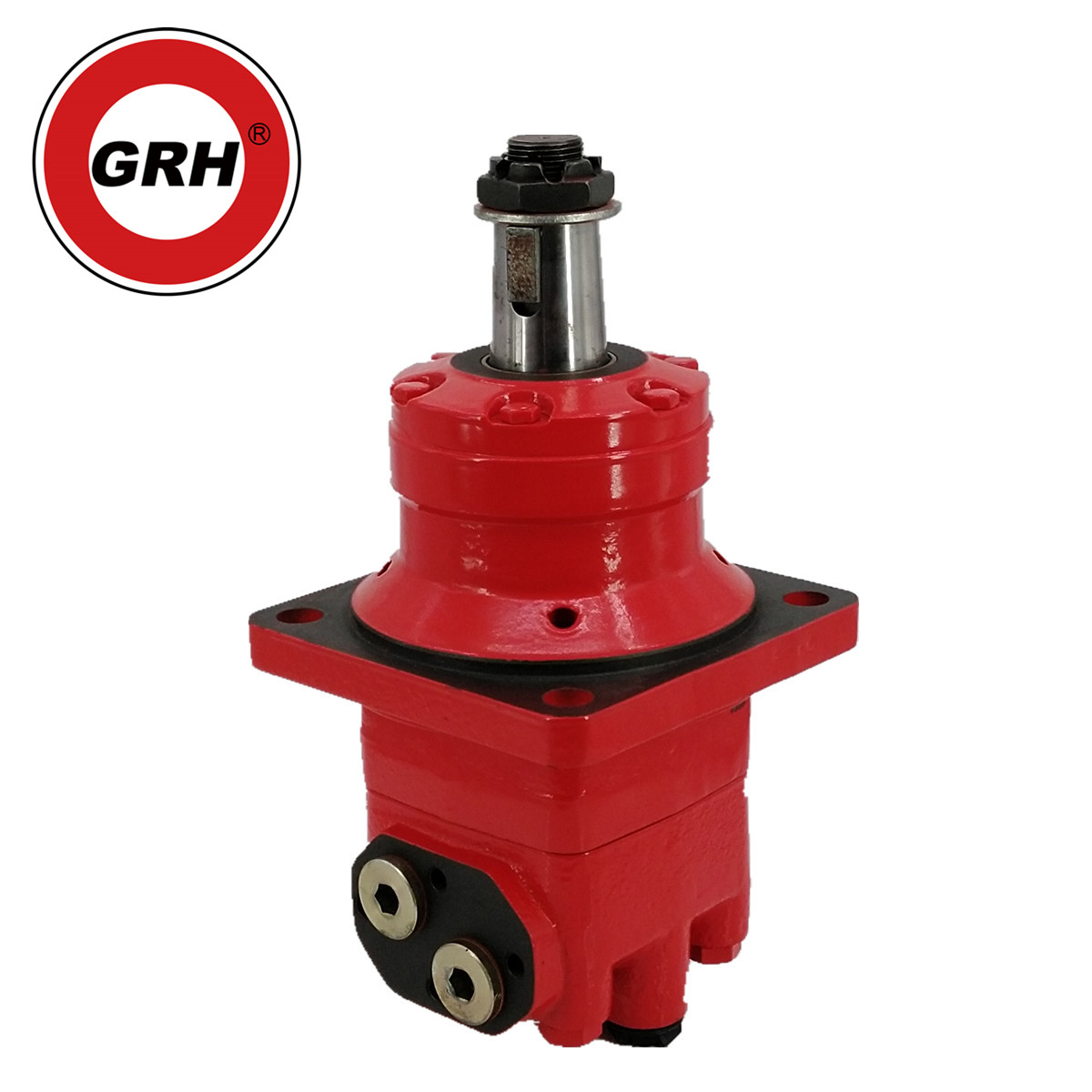 অরবিটাল মোটর1_1 orbital motor1_1