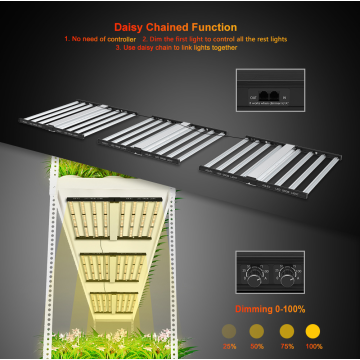 1000W LED Crece la luz 2 canales Doble interruptores