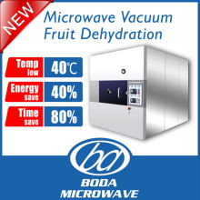 batch type microwave vacuum fruit dehydration machine