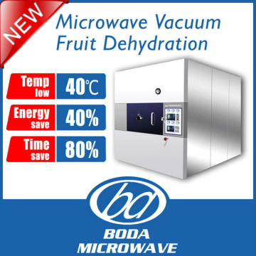batch type microwave vacuum fruit dehydration machine