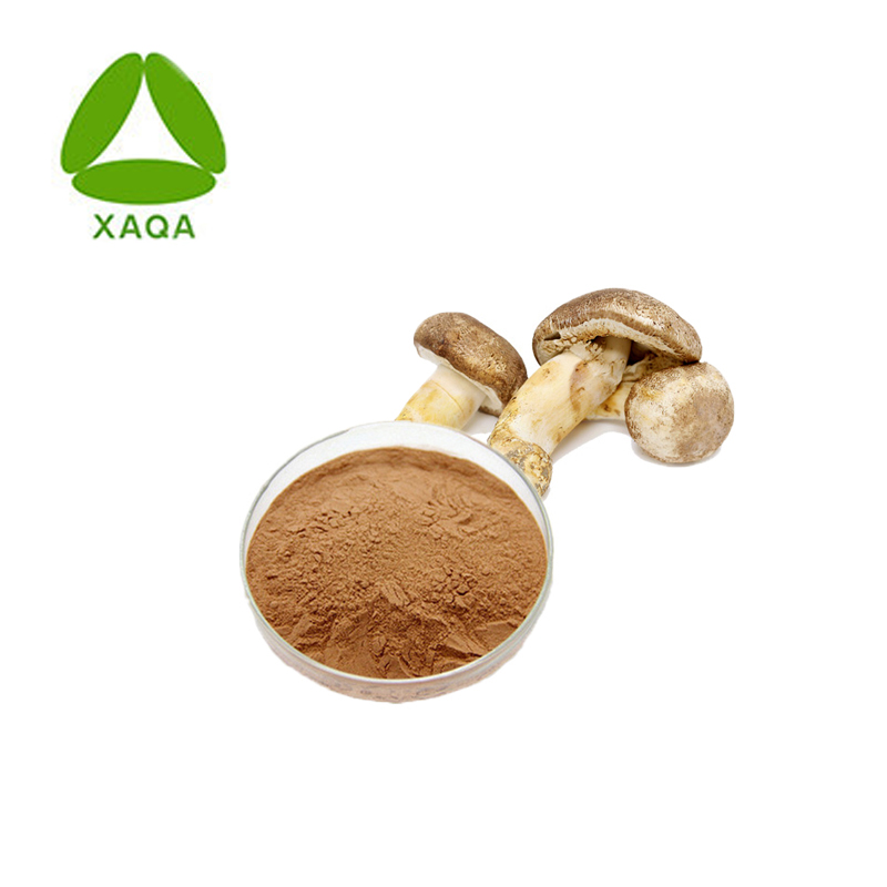 Agaricus Blazei Extract 4 3 Jpg