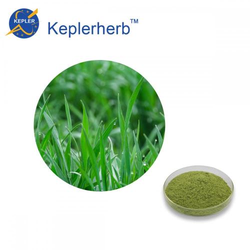 Weizengras-Pulver-Extrakt