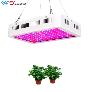Hydroponic and greenhouse led grow light 2000W