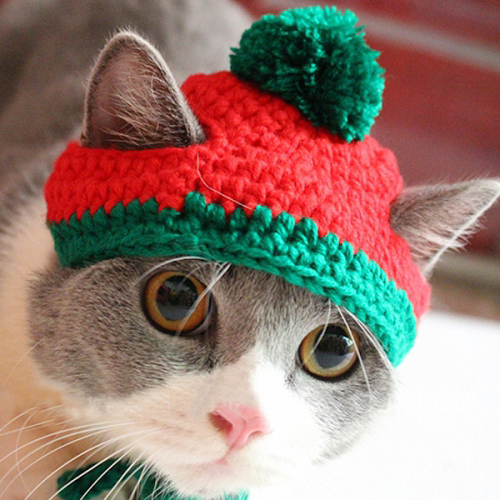 New Year Christmas Winter Pet Dogs Cats Knitted Hat