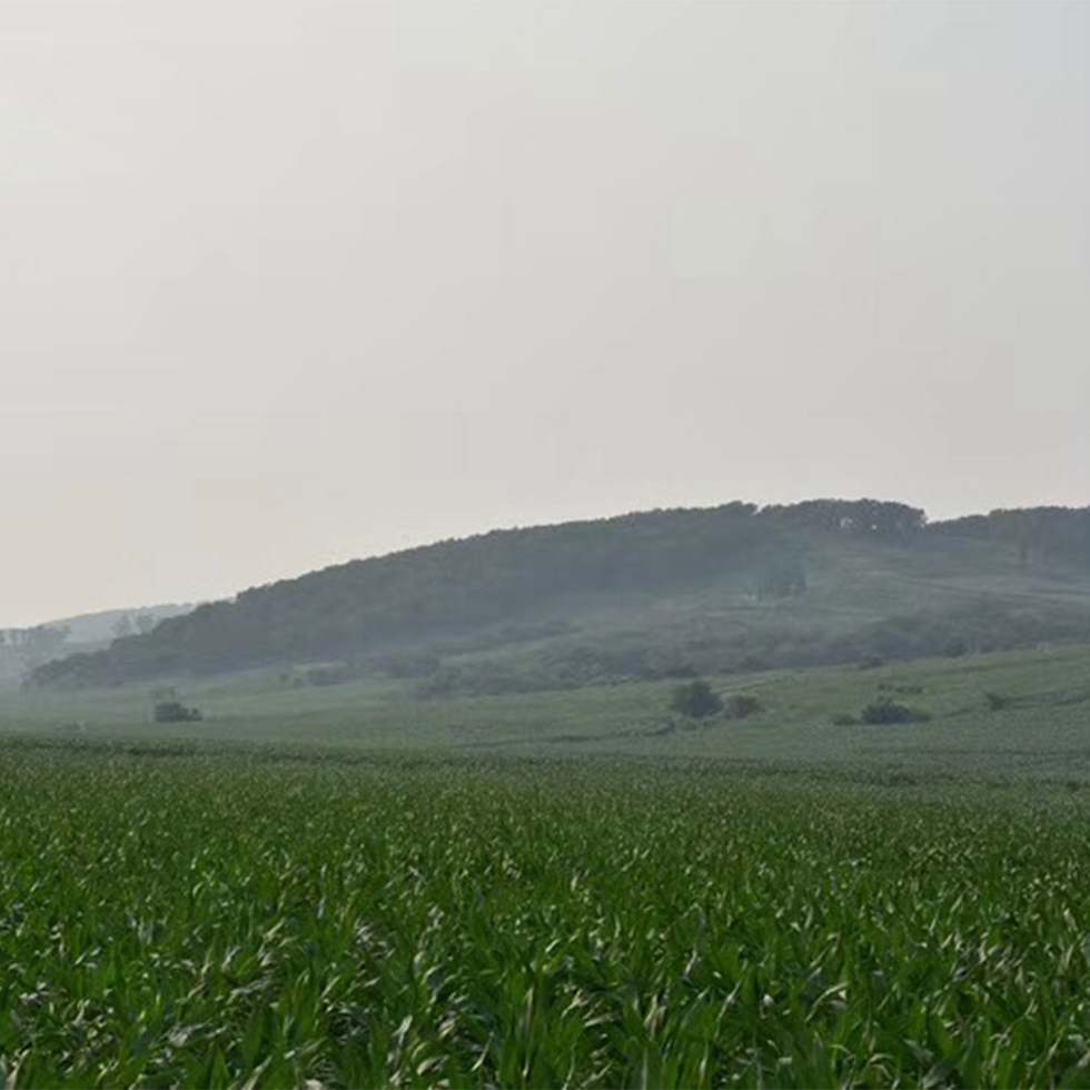 Nutrients for corn