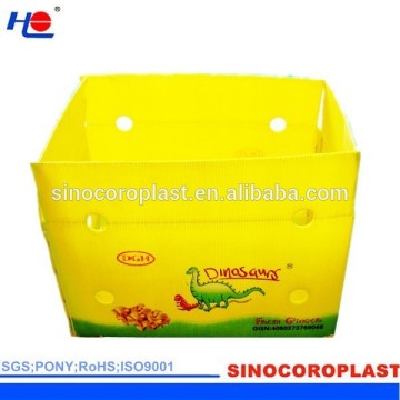 Corrugated Plastic Packaging