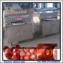 Hawthorn seed removing machine Price