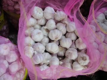 chinese mesh bag packing garlic