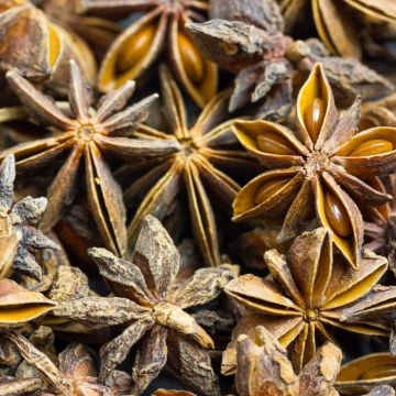 Star Anise Essential Oil 30ml