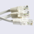 RJ45 Plug Wire Harness