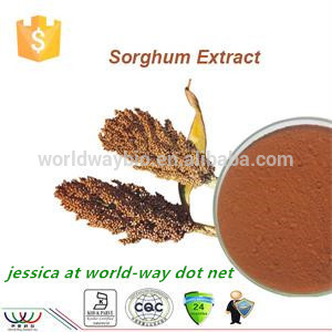 free sample ! natural sorghum extract powder , organic sorghum powder , China sorghum powder extract