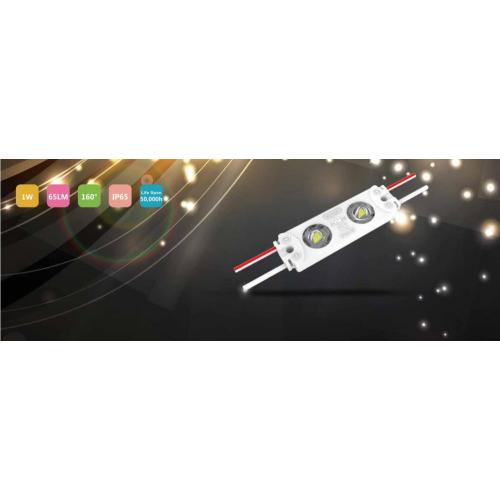 Budget LED module SMD2835 big power