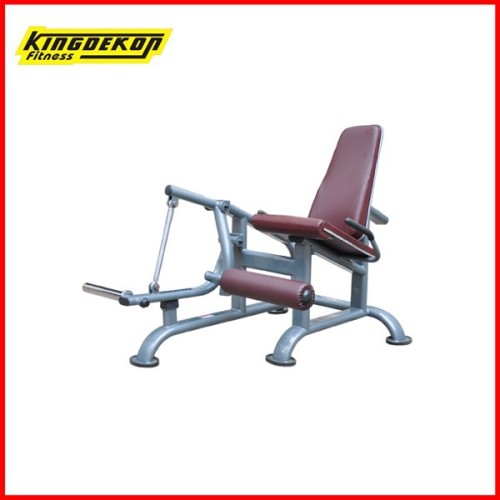 Seated Leg Extension fitness training equipment