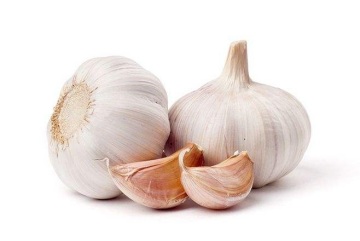 Malaysia Super Quality Fresh Garlic