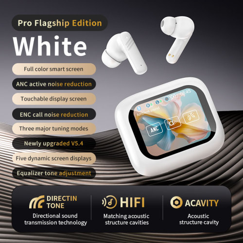 ANC Earbuds with LCD Screen and Touch