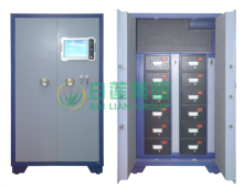 Smart Gun and ammo locker