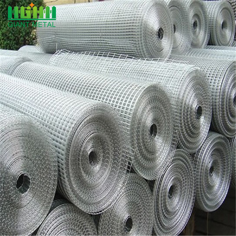 Galvanized and PVC Coated Welded Wire Mesh Rolls