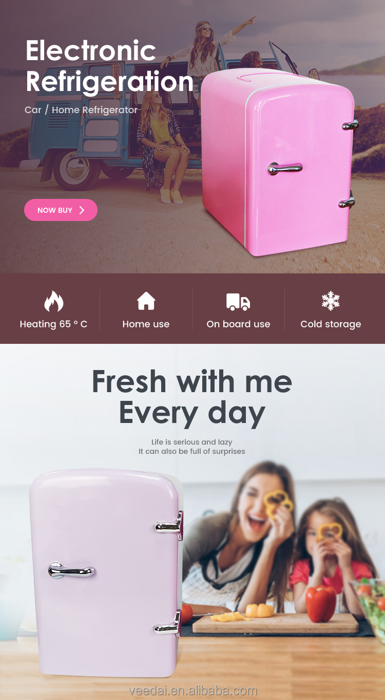 portable refrigerator 12v mini fridge 4L