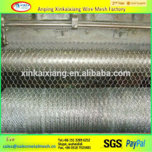 Galvanized hexagonal wire mesh|hexagonal netting