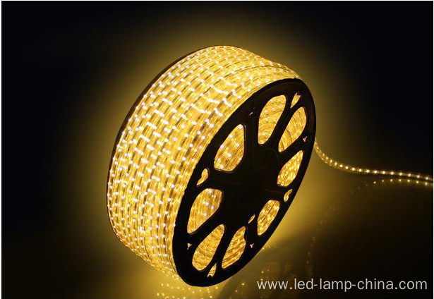 Jewelry store showcase 110V AC 5050 led strip light