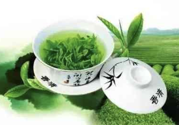 مستخلص روبيا كورديفوليا Rubia Cordifolia Extract