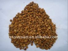 Chinese Bitter apricot