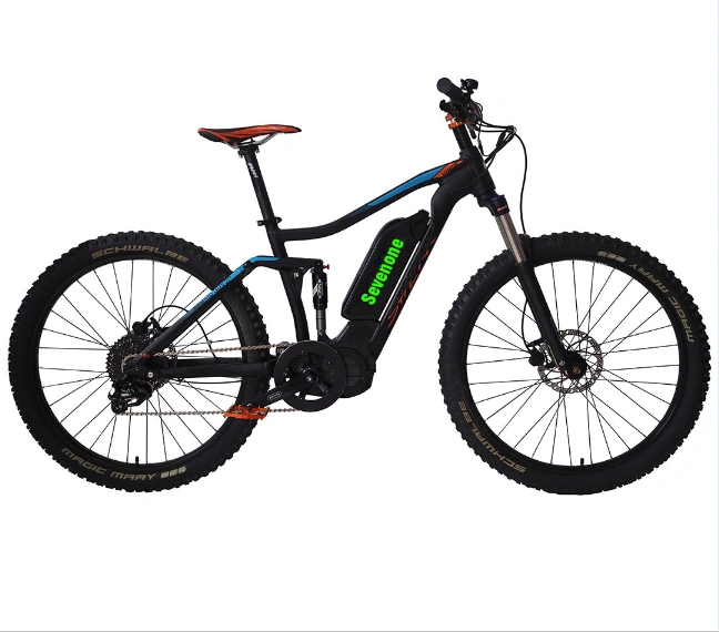 Made in Europe Middle Motor Mountain Electric Bicycle with Full Suspension