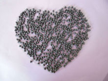 sweet chocolate chips