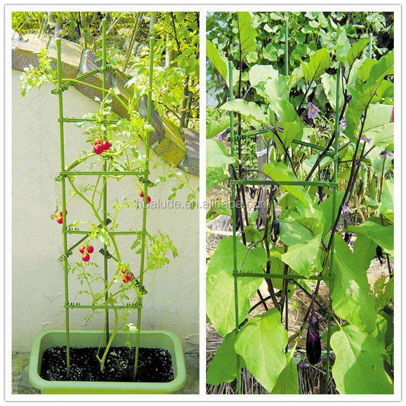 pe coated garden tomato support climbing plant support for vegetables