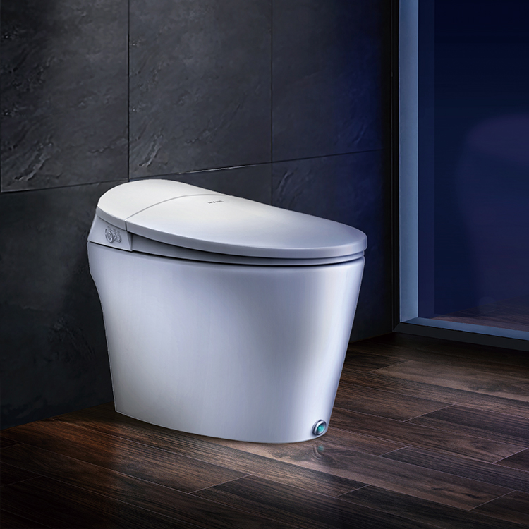 K81smart toilet with bidet made in CHINA