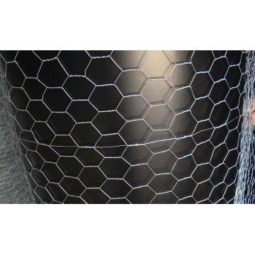 maille de poulet en grillage hexagonal en acier inoxydable