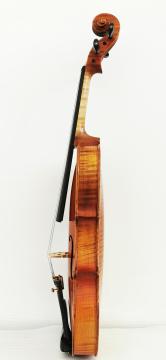 One Piece Back Master Violin