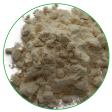 Vegan Mung Bean Protein Isolate for Food application
