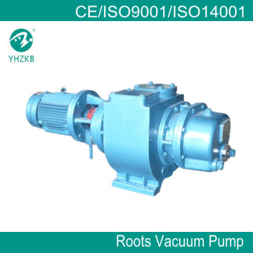 Roots Vacuum Pump