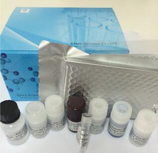 Swine circovirus antibody ELISA kit