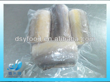 Frozen Conger Eel Cut off