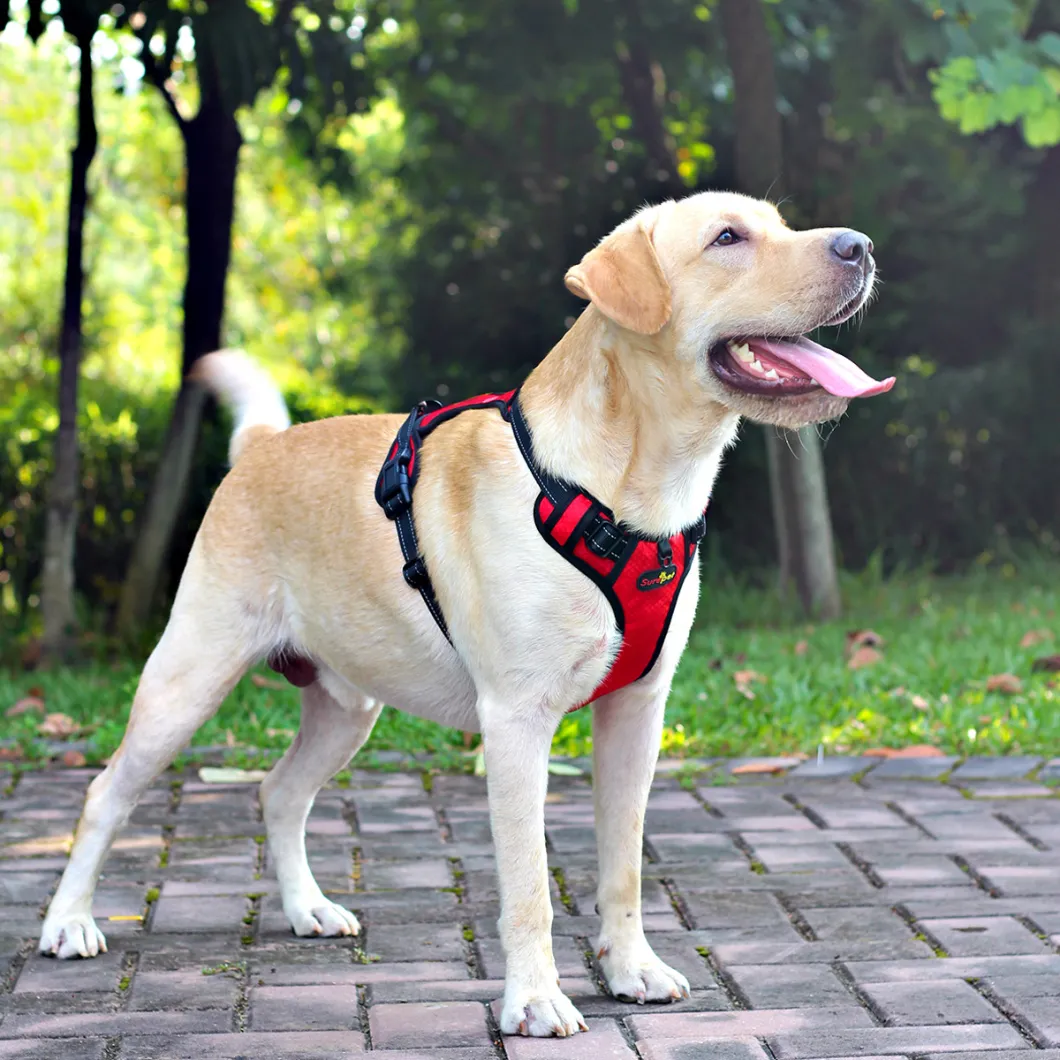 Strong Nylon Dog Harness Durable Fashionable