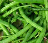 FROZEN GREEN BEANS FOR SALE IN BULK.