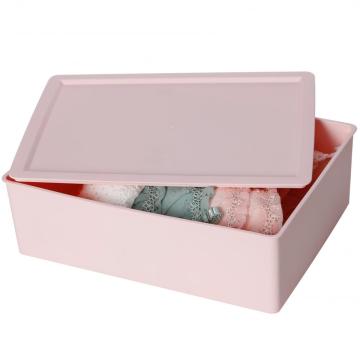 Plastic Bra Organizer Storage Box