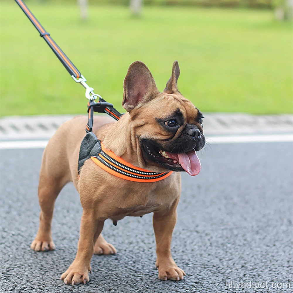Personalized Leather Pet Leash
