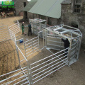 Galvanizado de ganado / panel de caballo de esgrima