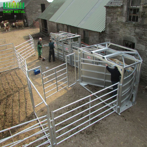 Metal Horse Paddock Fence Panel