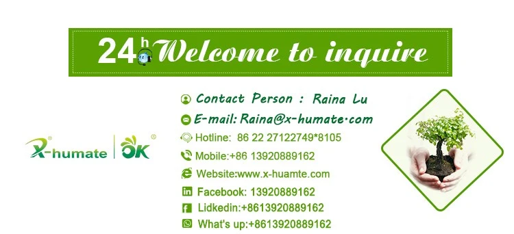 X-Humate Raw Material Industrial Oxalic Acid 99.6%Min Chemical