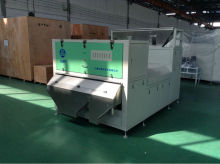 garlic processing machine/CCD color sorter/belt-type
