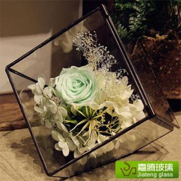 Glass terrarium vase / oval glass vase / square glass vase