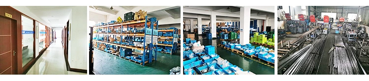 China Factory Stainless Steel Hydraulic Metric & Bsp Thread M10X1.0 & 1/8" Bsp Weldable Banjo Fitting