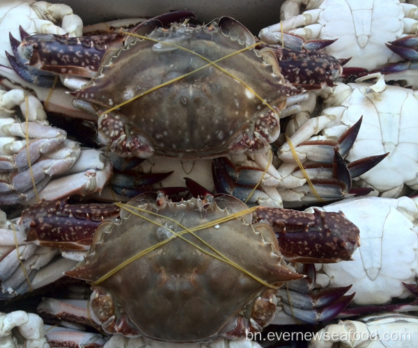 সস্তা দাম পুরো হিমায়িত নীল সাঁতার কাঁকড়া