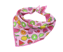 Personalized Triangle Dog Bandana Collar