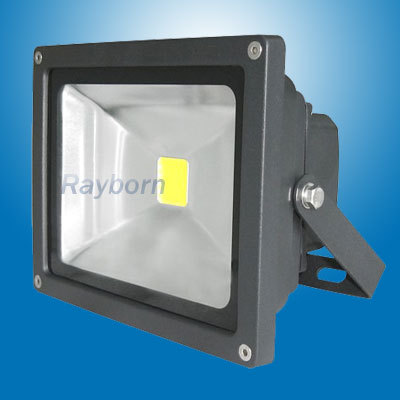 Good Quality 30W 110V/220V/240V LED Flood Light for Football Stadium